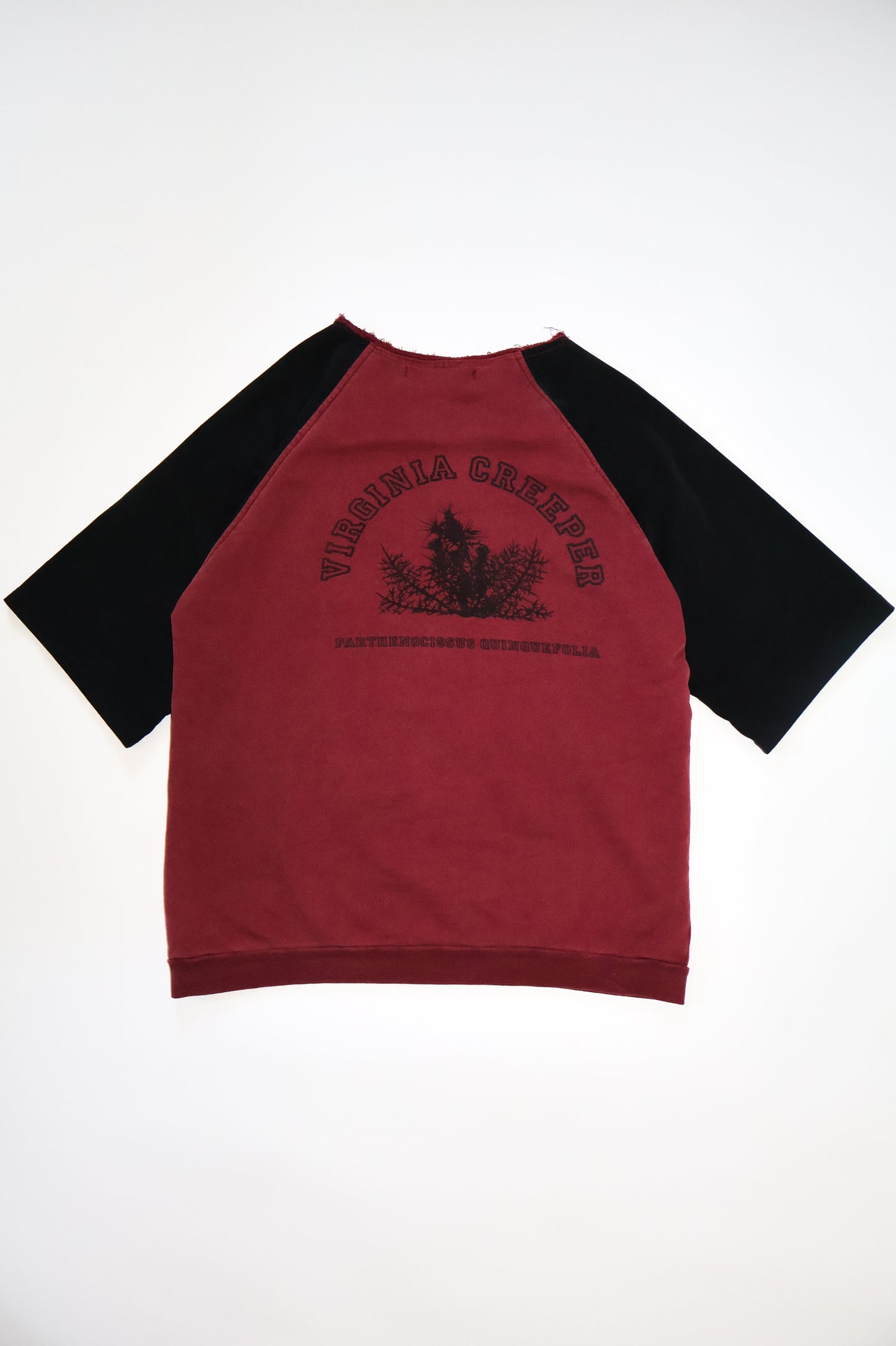 Raf Simons AW02 Virginia Creeper Sweatshirt