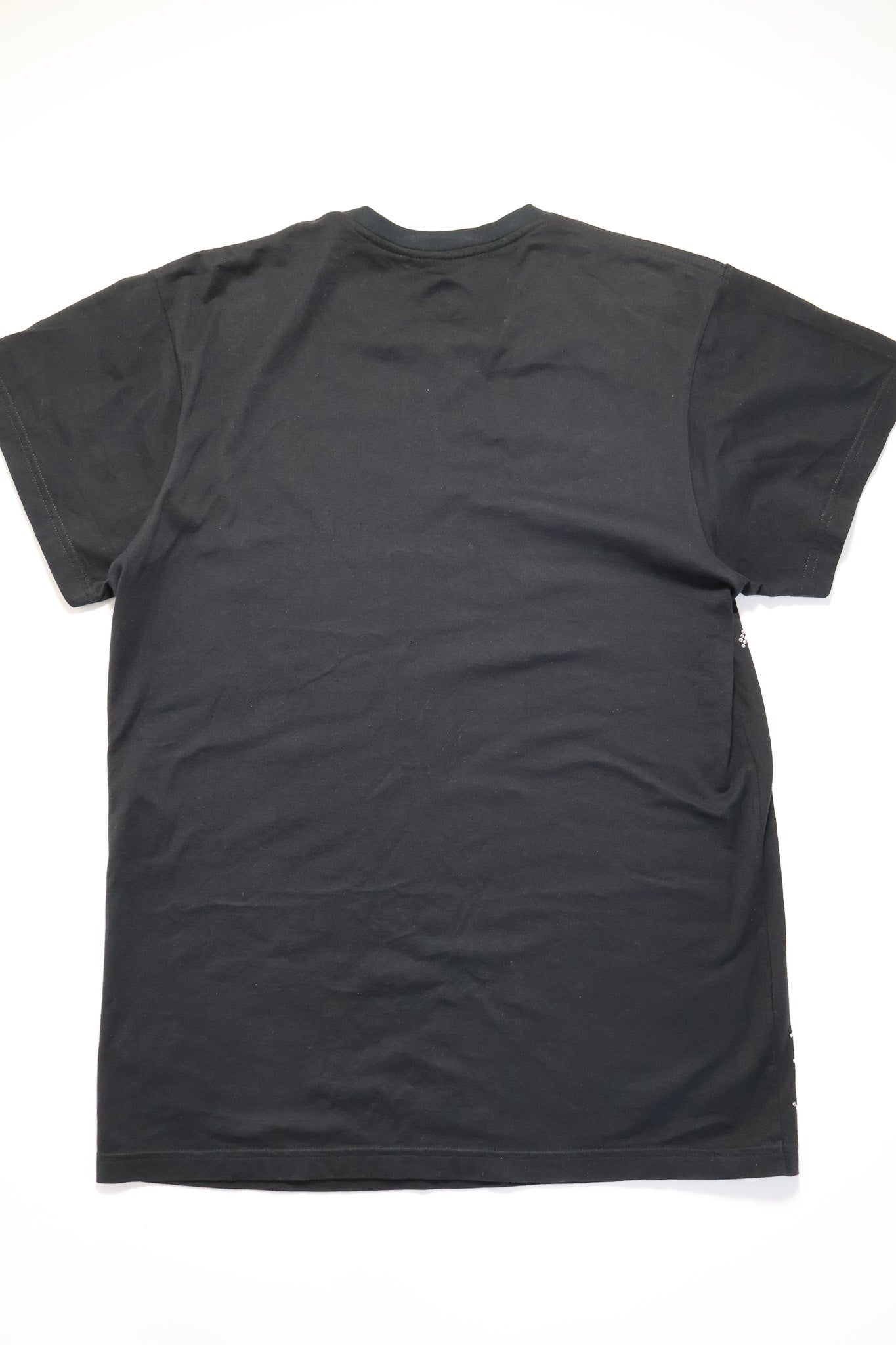 Balmain AW09 Runway Crystal Zebra Shirt