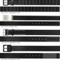 Dior Homme AW06 Studded Belt