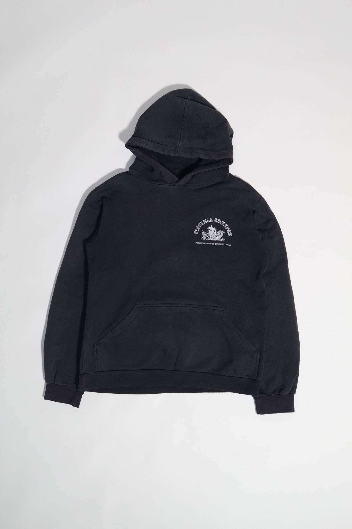 Raf Simons AW02 Virginia Creeper Hoodie