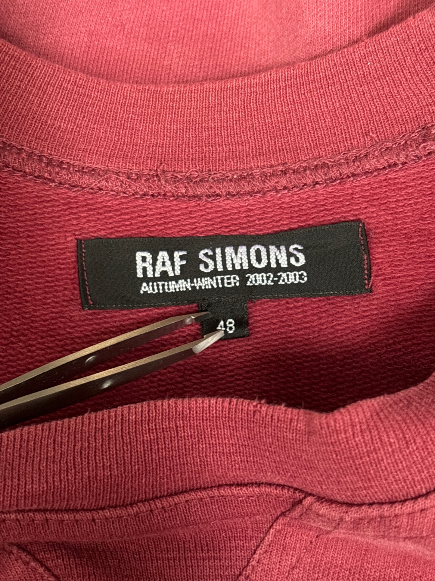 Raf Simons AW02 Virginia Creeper Blank Sweatshirt