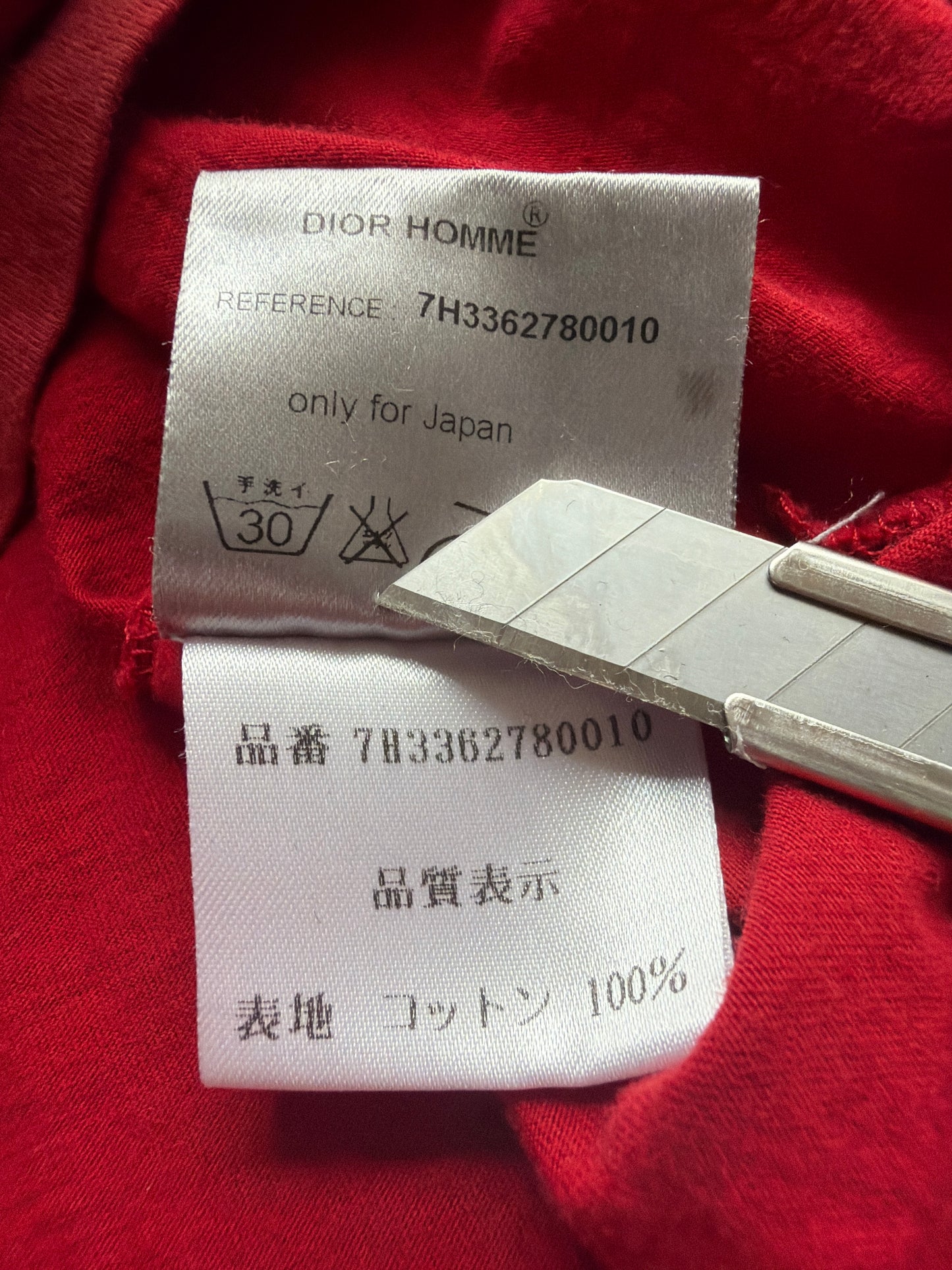 Dior Homme AW07 Bee Tee