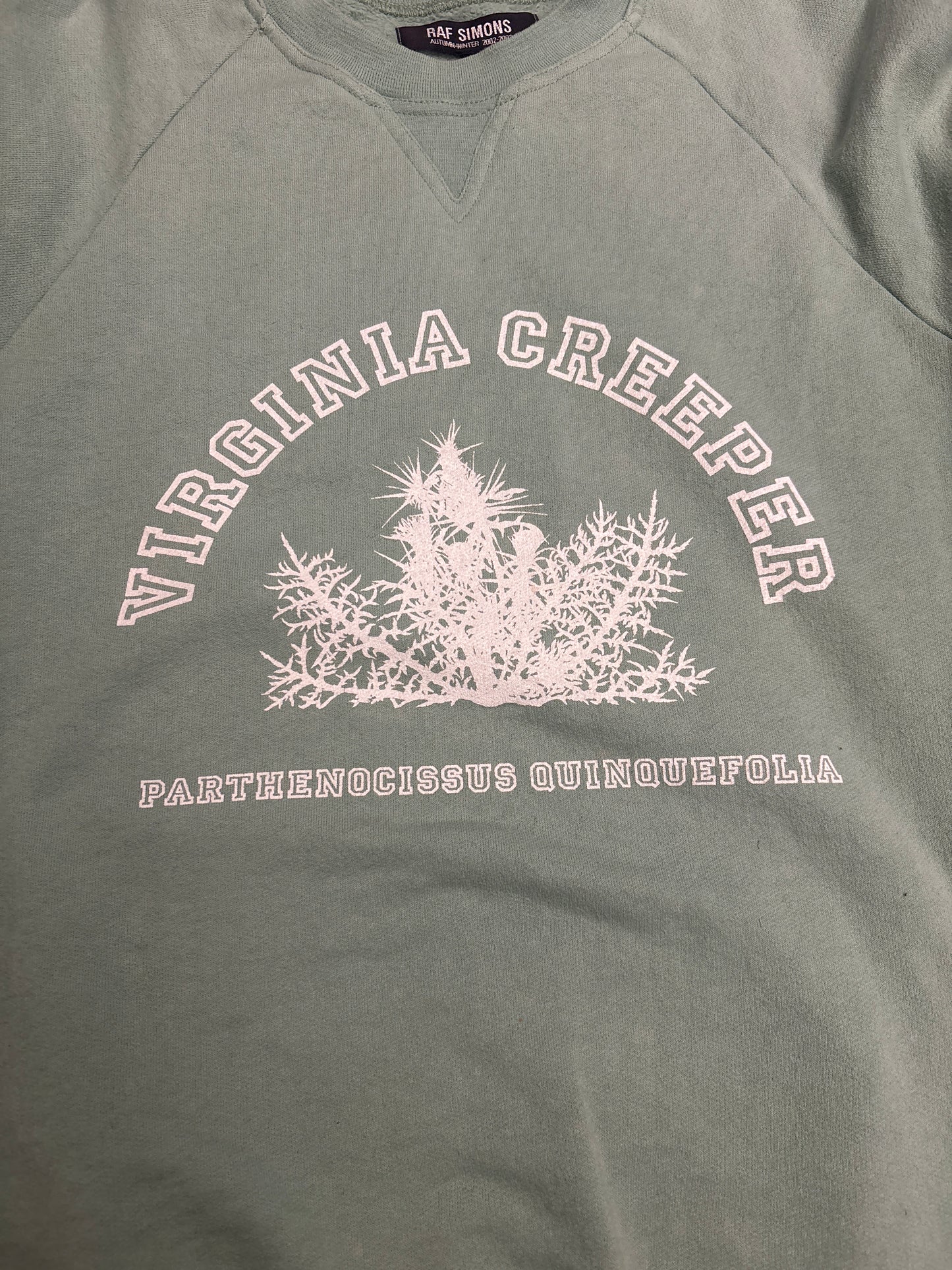Raf Simons AW02 Mint Virginia Creeper Sweater