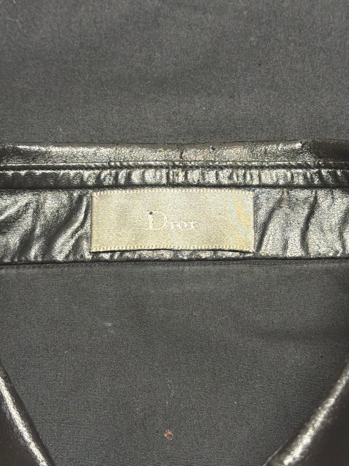 Dior Homme SS04 Ruched Satin Snake Sleeveless Shirt
