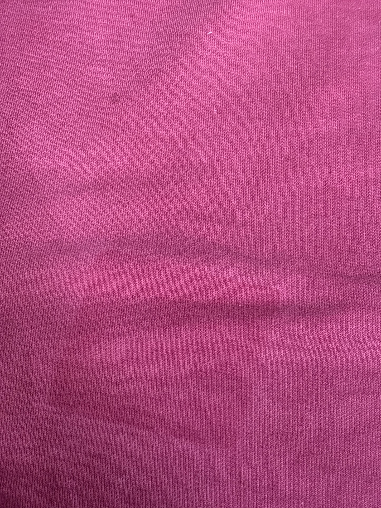 Raf Simons AW02 Virginia Creeper Blank Sweatshirt