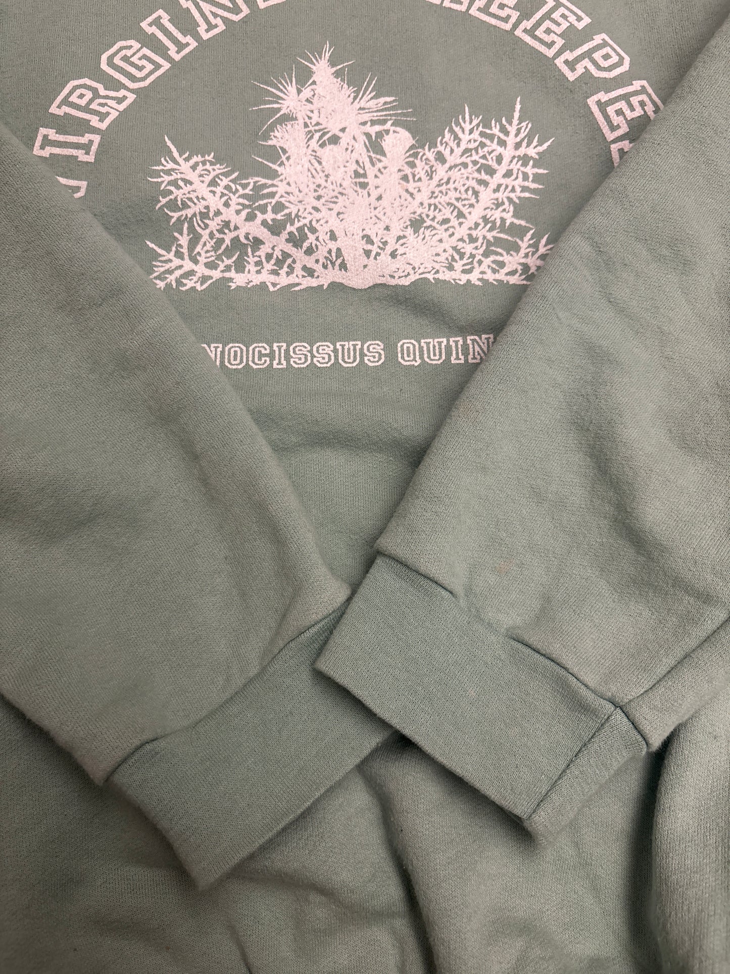 Raf Simons AW02 Mint Virginia Creeper Sweater