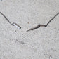 Dior Homme SS03 Bee Necklace