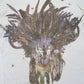 Balmain AW11 Wolf Graphic Shirt