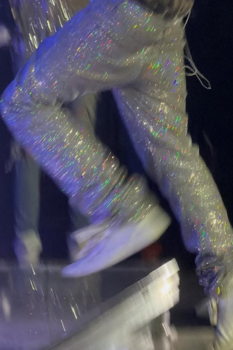 Dior Homme SS06 Glitter Denim