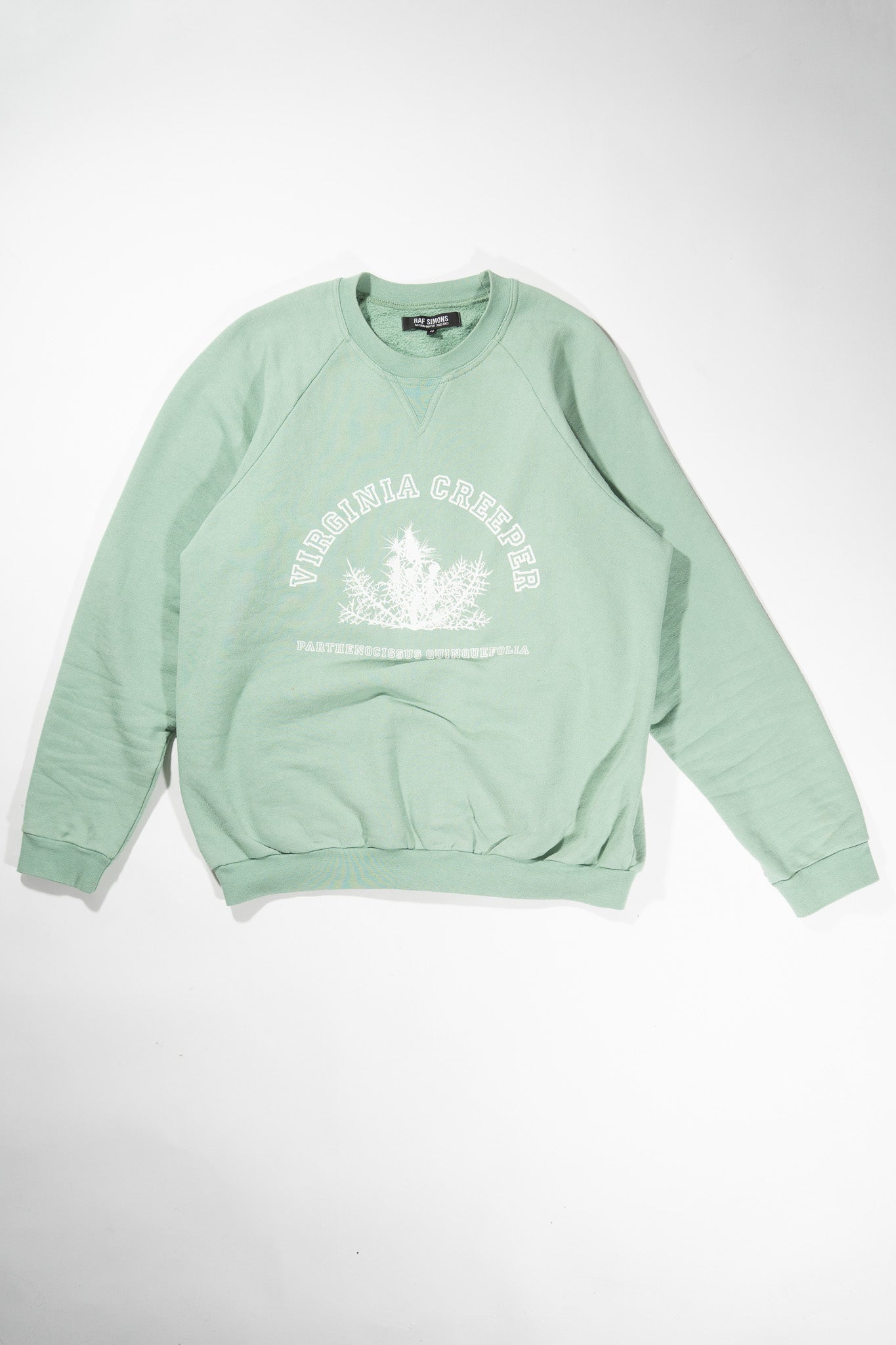 Raf Simons AW02 Mint Virginia Creeper Sweater