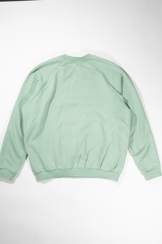 Raf Simons AW02 Mint Virginia Creeper Sweater